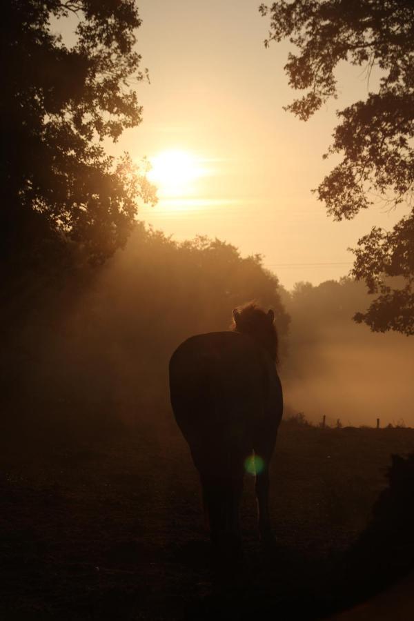 Gite De Bien-Etre De La Symphonie Du Vivant Bonnes  ภายนอก รูปภาพ